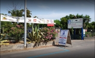 2044654178oasipark6.JPG