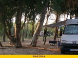 21312piazzola1.jpg
