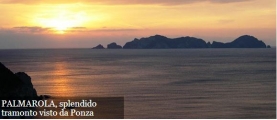 26396palmarola.JPG