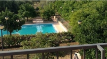26935solemargherita1.JPG