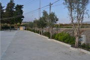 27040OASIFAVARA7.JPG