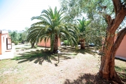 32317ASC_4314.JPG