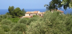 32763solemargherita0.JPG