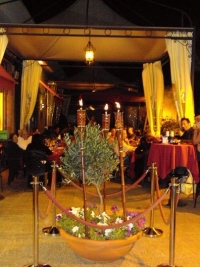 7830arcoantico3.JPG