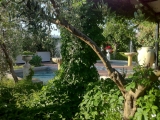 8060hotel_Sataru_Resort_giardino1_small.jpg